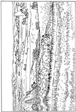 coloring page Vincent van Gogh